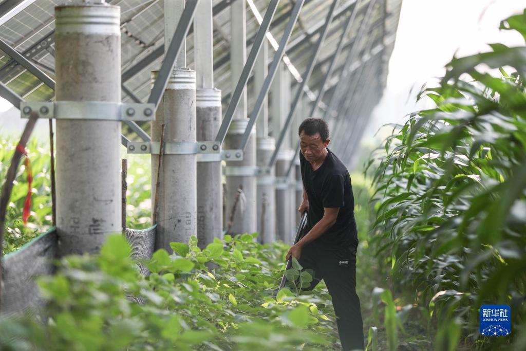 pt138手机客户端登录